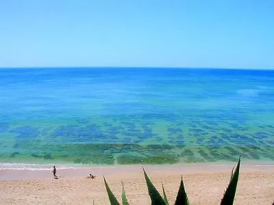 Apartamento Avec Piscine - *